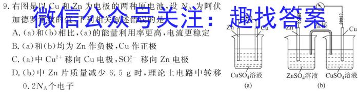 陕西省2024届八年级教学质量检测（3月）化学