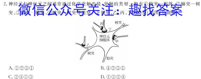 2023年新高考模拟冲刺卷(一)1生物