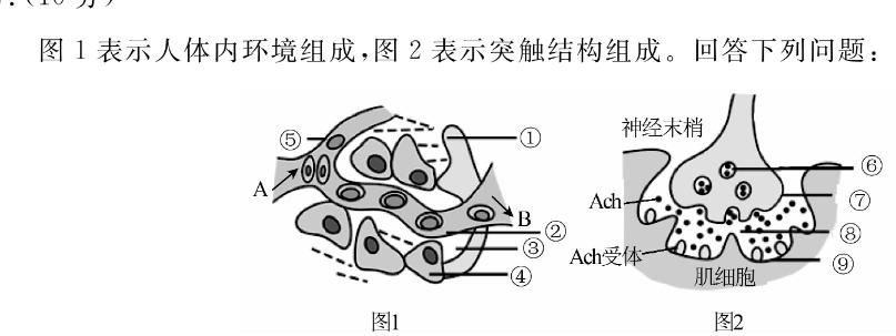 陕西省2023届九年级2月联考（23-CZ69c·金卷一）生物试题及答案