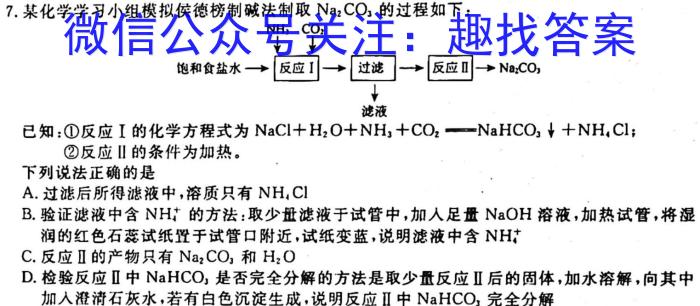 陕西省2023届九年级期末质量监测B（23-CZ53c）化学