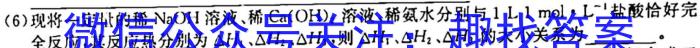 学林教育 2023年陕西省初中学业水平考试·全真模拟卷(一)A化学