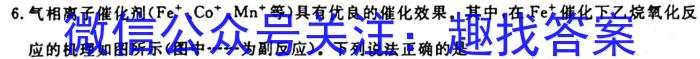 天一大联考 2024-2023学年高一年级阶段性测试(三)3化学