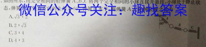 安徽省中考必刷卷·2023年名校内部卷（二）.物理