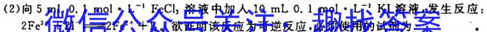 智慧上进2024-2023学年高三年级二轮复习阶段性检测化学