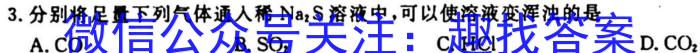 2023年陕西省初中学业水平考试·全真模拟卷（一）B版化学