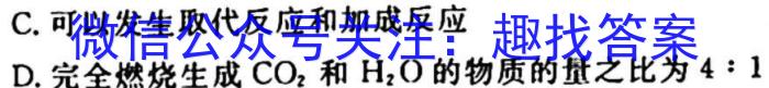 安徽省2023年名校之约·中考导向总复习模拟样卷（九）化学