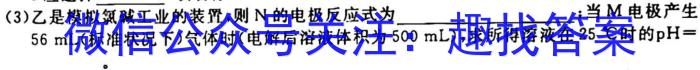 2023届安徽省淮北市高三年级第一次模拟考试化学