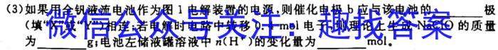 ［齐齐哈尔一模］齐齐哈尔市2023届高三第模拟考试化学