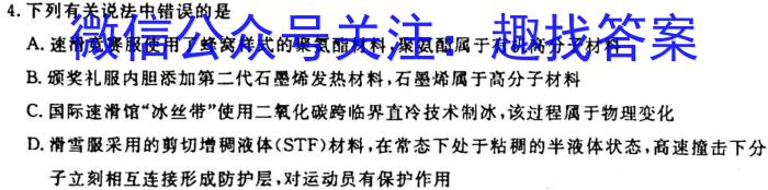 安徽省九年级2022-2023学年新课标闯关卷（十三）AH化学