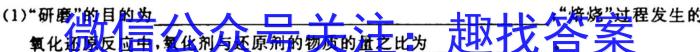 安徽第一卷·2023年中考安徽名校大联考试卷（一）B卷化学