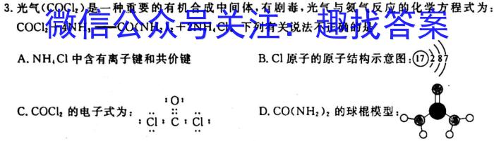 2023年普通高等学校招生全国统一考试名校联盟·模拟信息卷(六)6化学