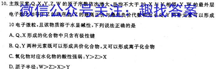 中考必刷卷·安徽省2023年安徽中考第一轮复习卷(九)9化学