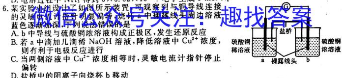 2023普通高等学校招生全国统一考试·冲刺押题卷 新教材(二)2化学