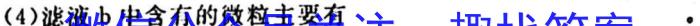 2022-2023学年安徽省九年级下学期阶段性质量检测化学