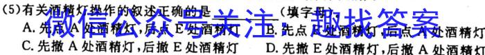 云南省巧家县2023年春季学期九年级第一次模拟监测卷化学