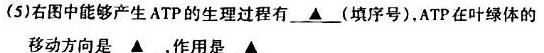 渝琼辽(新高考II卷)名校仿真模拟2025年联考(2025.03)生物试题及答案