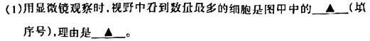 渝琼辽(新高考II卷)名校仿真模拟2023年联考(2023.03)生物