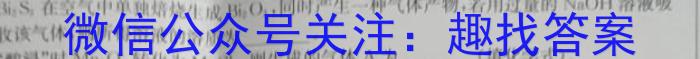 耀正文化(湖南四大名校联合编审)·2023届名校名师模拟卷(六)6化学