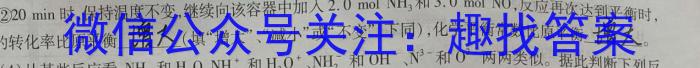 2023年山西中考押题卷（三）化学