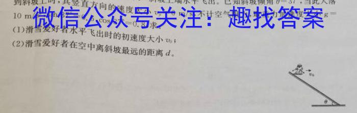 2023年河北高二年级3月联考（23-337B）.物理