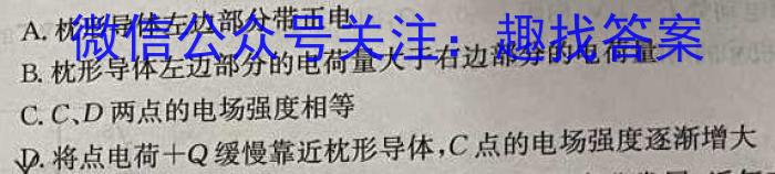 陕西省西安市2023届九年级模拟检测卷（22-02-CZ85c·金卷（一））l物理