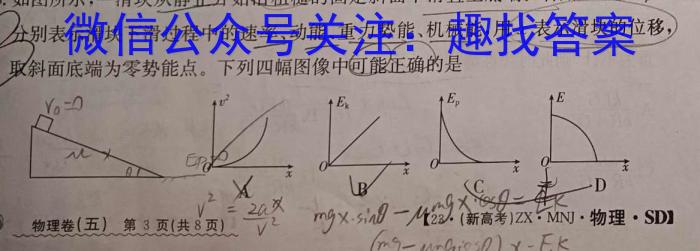 2023年新高考模拟冲刺卷(四)4物理`