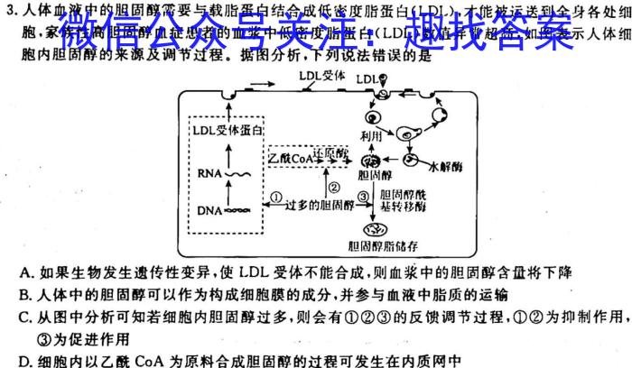 全国大联考2023届高三全国第六次联考 6LK·新教材老高考生物