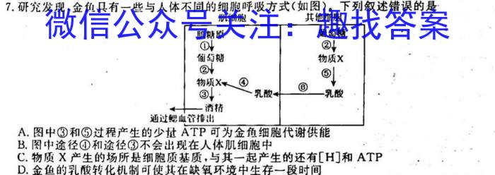 2023湖南炎德英才师大附中高三3月联考生物试卷答案