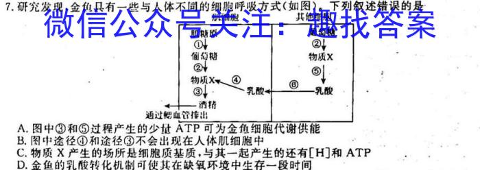 安徽第一卷·2023年九年级中考第一轮复习（十）生物