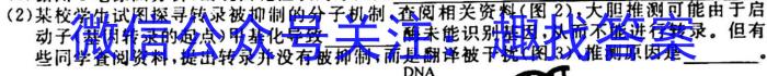 湖北省七市州教研办作体(2023高三七校联合调研)生物