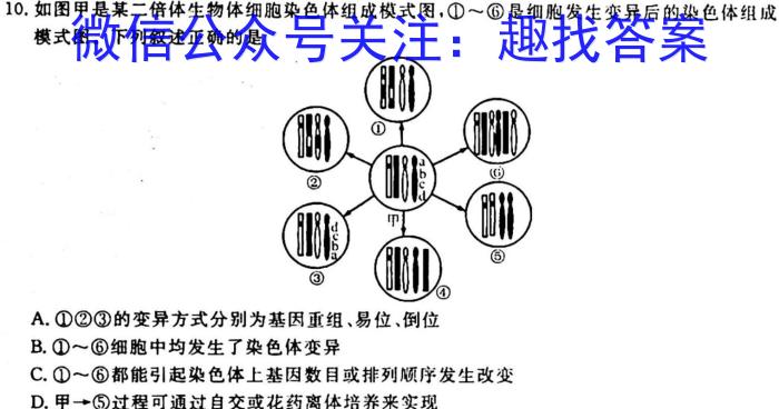 2023新疆乌鲁木齐高三3月联考生物试卷答案