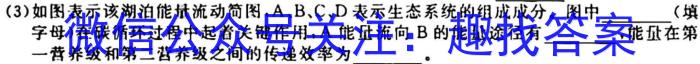 2023届桂柳文化高三桂柳鸿图信息冲刺金卷一(1)生物