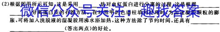 长郡、雅礼、一中、附中联合编审名校卷2023届高三月考试卷七7(全国卷)生物试卷答案