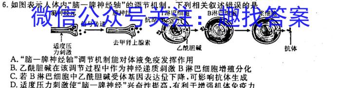 河北省2023届高三年级大数据应用调研联合测评(Ⅲ)生物