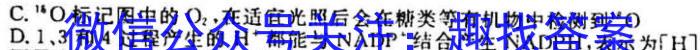 湖南省永州市2023年初中学业水平考试模拟试卷（四）生物