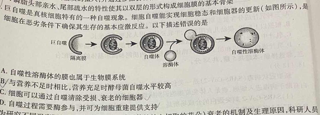 2023年新高考模拟冲刺卷(五)5生物