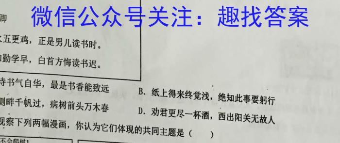 九师联盟 2022-2023学年高三2月质量检测XG地理.