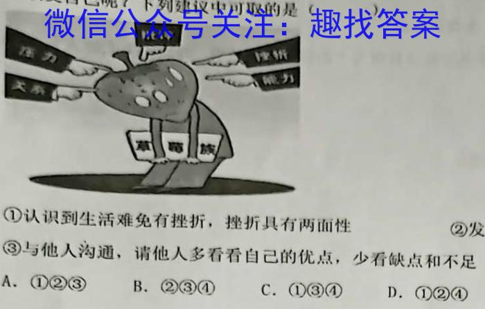 安徽省九年级2024-2023学年新课标闯关卷（十六）AHq地理