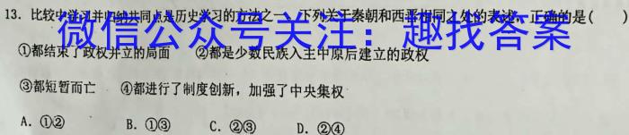 2022-2023学年安徽省九年级下学期阶段性质量监测历史