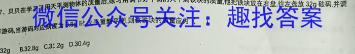 安徽省九年级2022-2023学年新课标闯关卷（十五）AH.物理