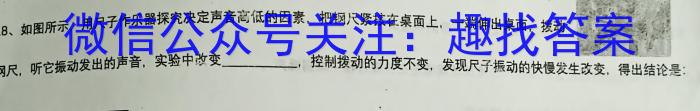 安徽省九年级2022-2023学年新课标闯关卷（十三）AH物理.