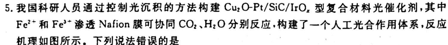 炎德英才大联考 雅礼中学2024届高三月考(七)化学试题及答案
