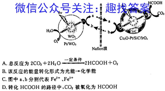 宁波十校2023届高三3月联考化学