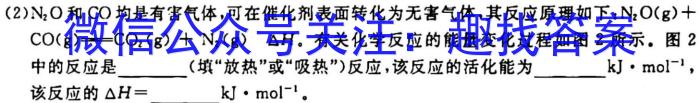 2023年湖南省高三年级高考冲刺试卷（一）化学