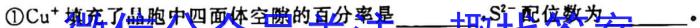 安徽第一卷·2023年九年级中考第一轮复习（十）化学