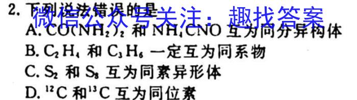 安徽省九年级2024-2023学年新课标闯关卷（十六）AH化学