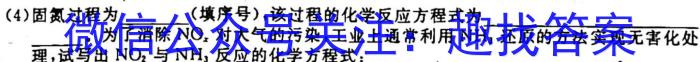 2023年河南省新乡市高三年级3月联考化学