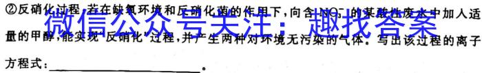 2022-2023学年安徽省七年级教学质量检测（六）化学