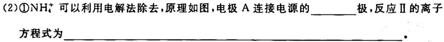 【石家庄一模】石家庄市2023届高中毕业年级教学质量检测（一）化学