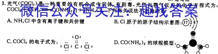 2023年普通高等学校招生全国统一考试名校联盟·模拟信息卷(六)6化学